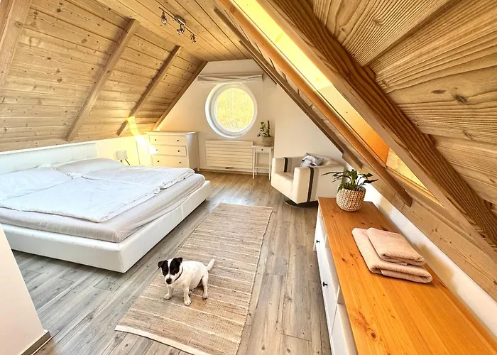 Apartmán Psí Bouda